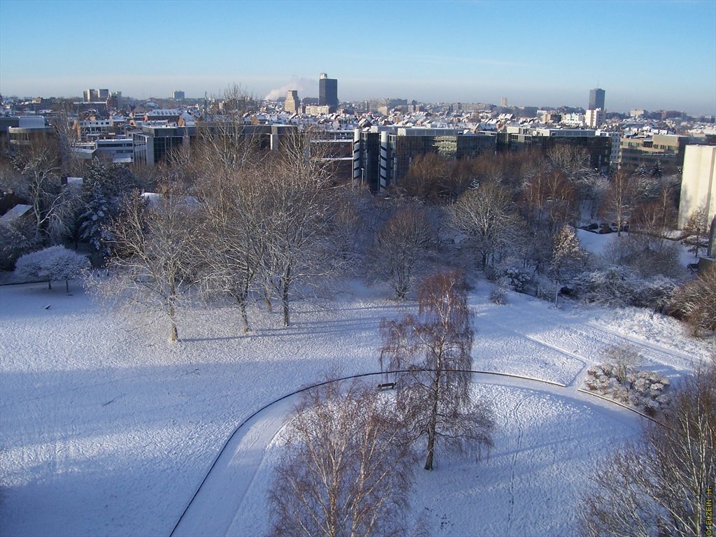 Photo de la Plaine #119