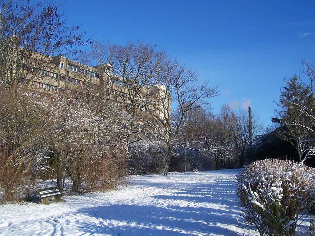 Photo de la Plaine #120