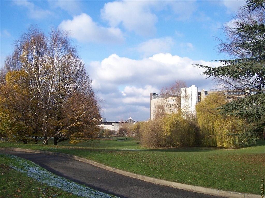 Photo de la Plaine #123