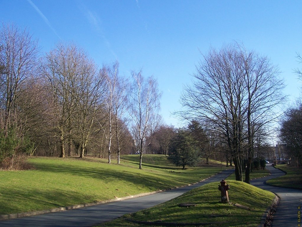 Photo de la Plaine #126