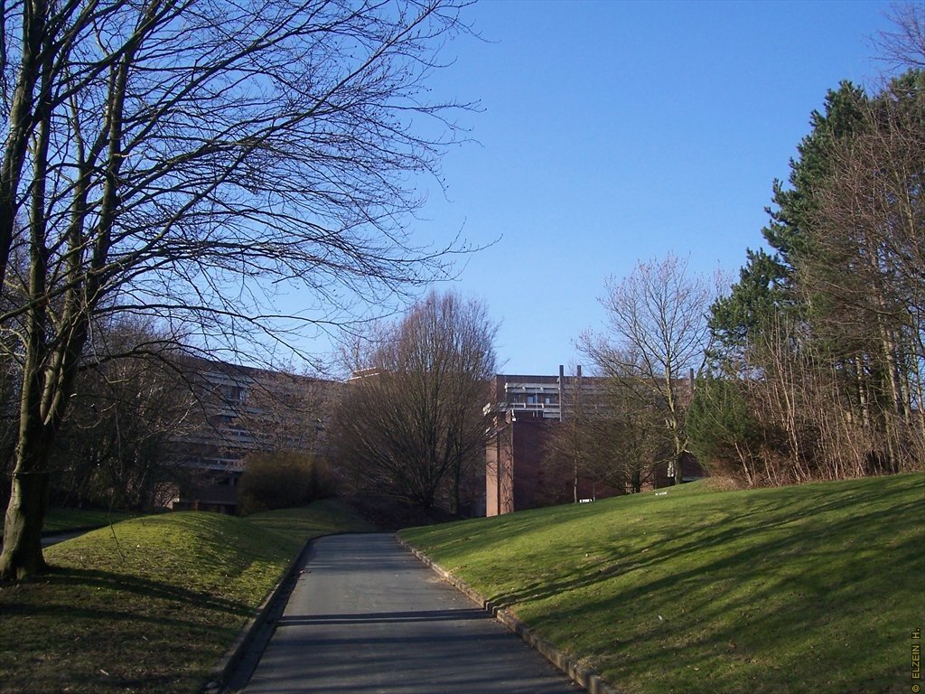 Photo de la Plaine #128