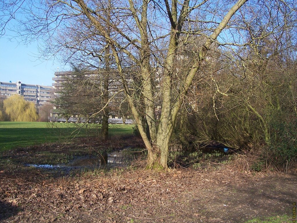 Photo de la Plaine #132