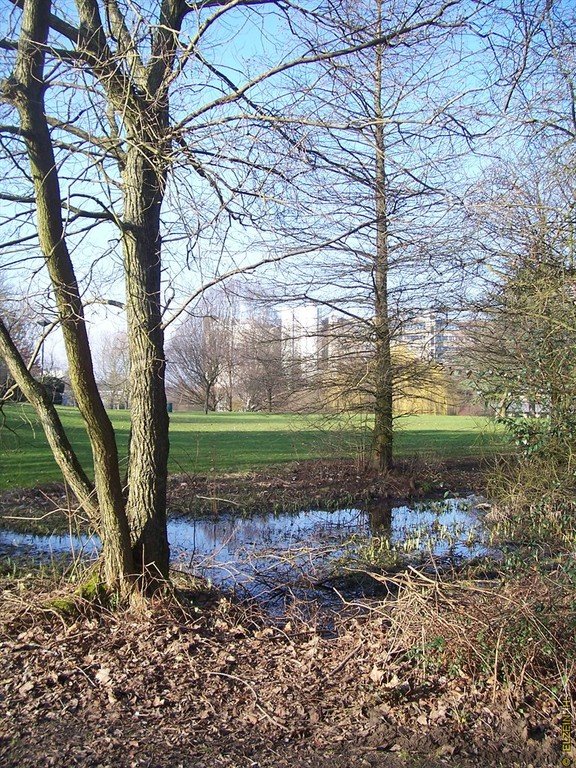 Photo de la Plaine #133