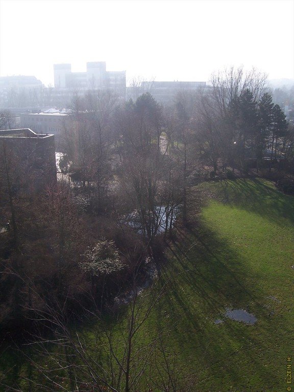 Photo de la Plaine #134